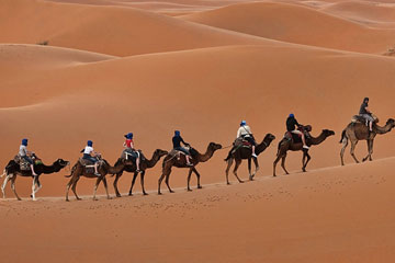 Rajasthan Camel Safari